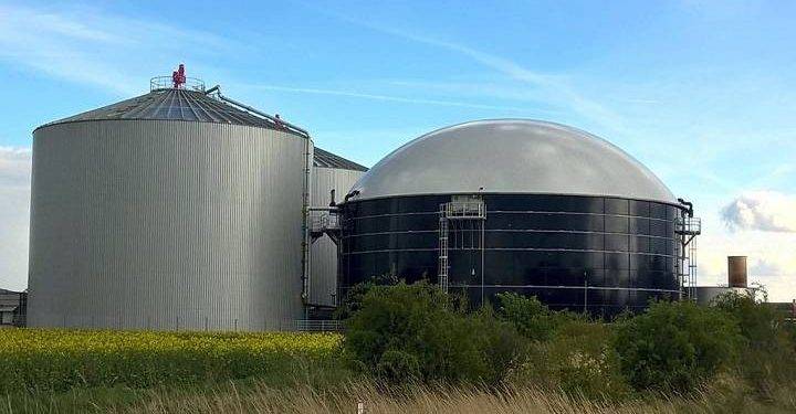 Biogas – business out of food waste