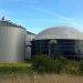 Biogas – business out of food waste