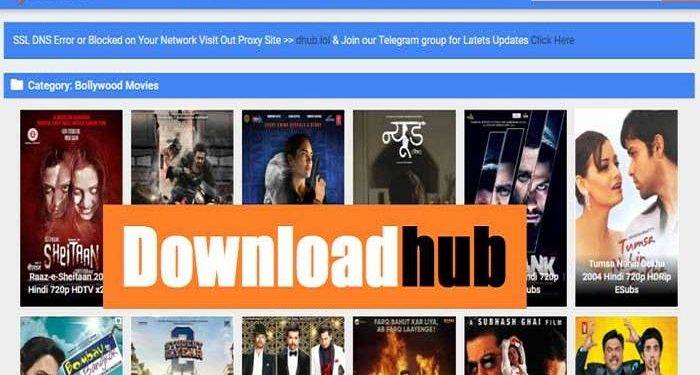 DOWNLOADHUB.WS – A Website Where People Can Download 300-Megabyte Movies For Free
