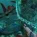 Where to Find Diamonds in Subnautica